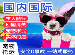汉中城固航空快运国际宠物托运 【国